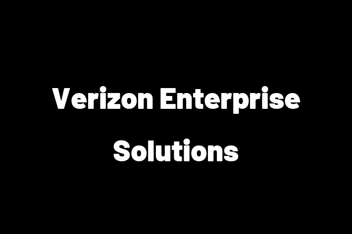 Tech Solutions Company Verizon Enterprise Solutions