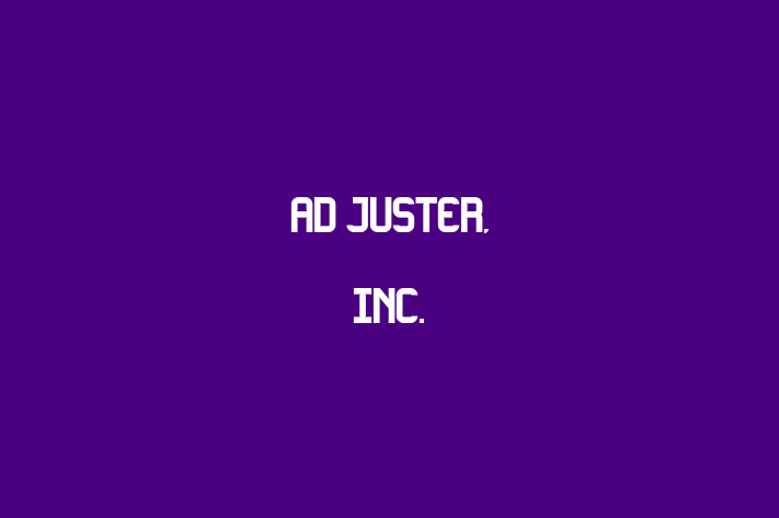 Software Engineering Company Ad Juster Inc.