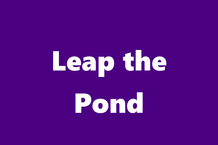 Software Engineering Company Leap the Pond