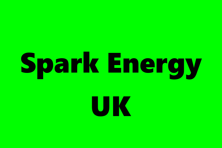 Software Engineering Company Spark Energy UK