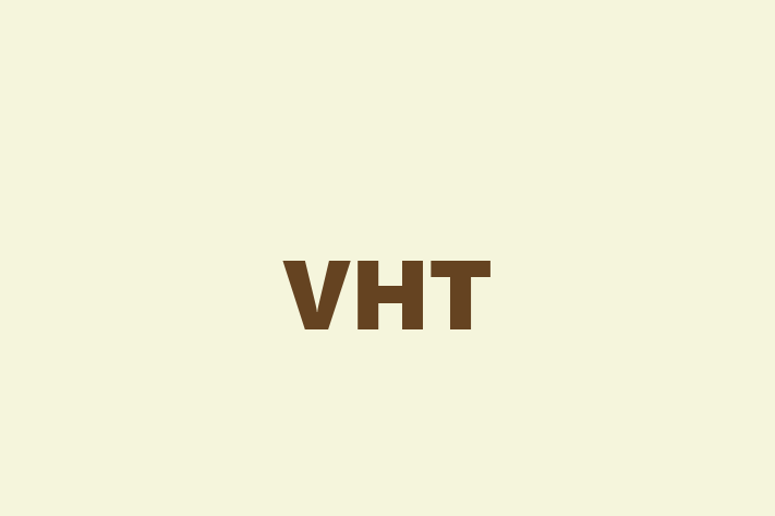 Software Development Company VHT