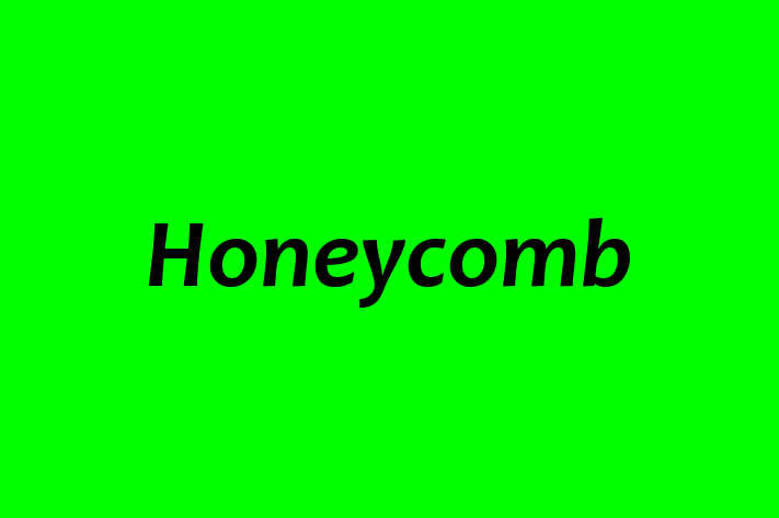 Software Development Firm Honeycomb