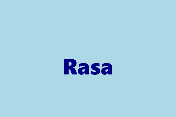 Software Consultancy Rasa