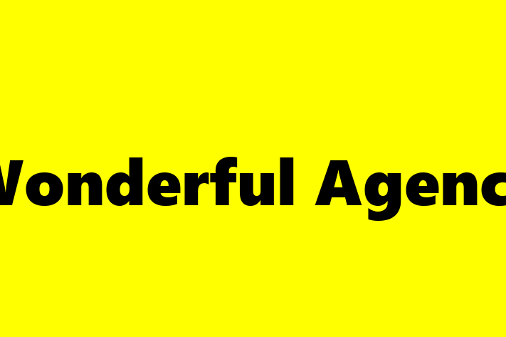 Tech Firm Wonderful Agency