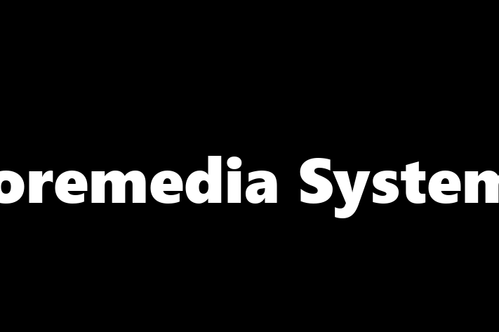 Application Development Company Coremedia Systems