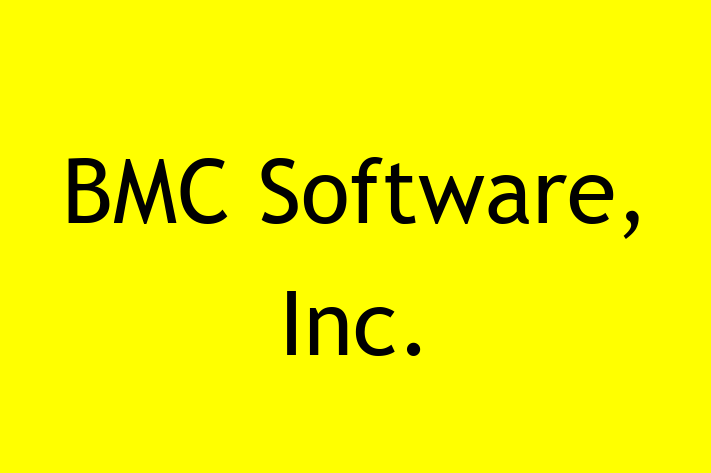 Tech Solutions Company BMC Software Inc.