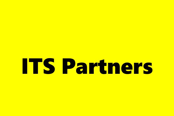 IT Company ITS Partners