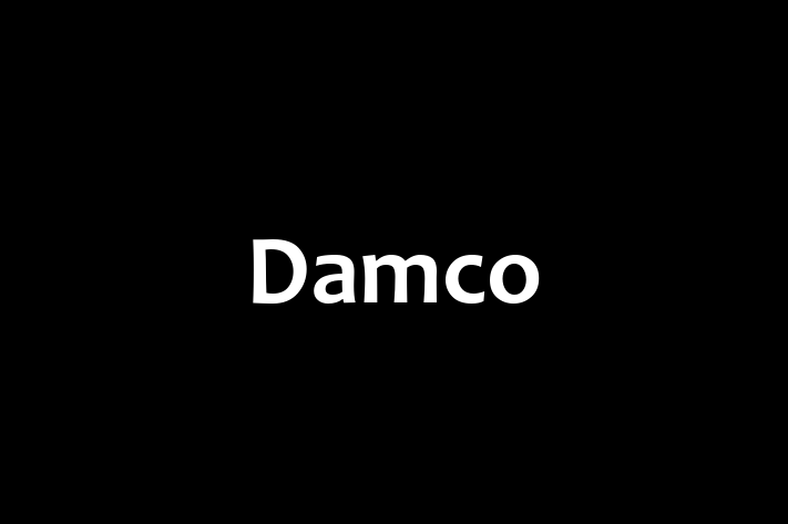 Software Solutions Provider Damco