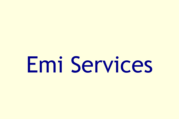 Software Development Firm Emi Services