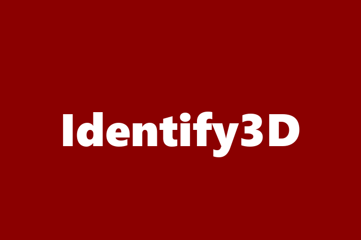 Application Development Company Identify3D