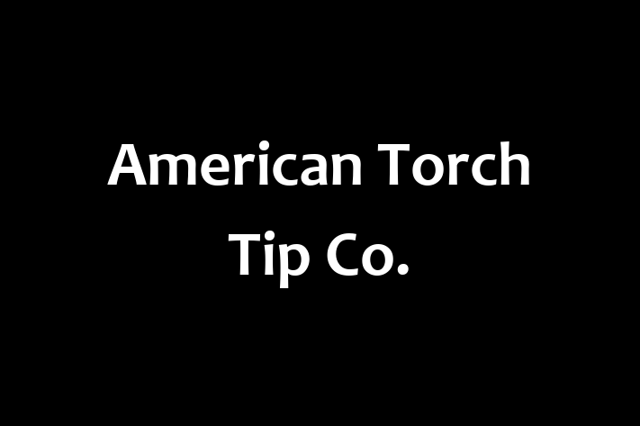 Human Capital Management American Torch Tip Co.