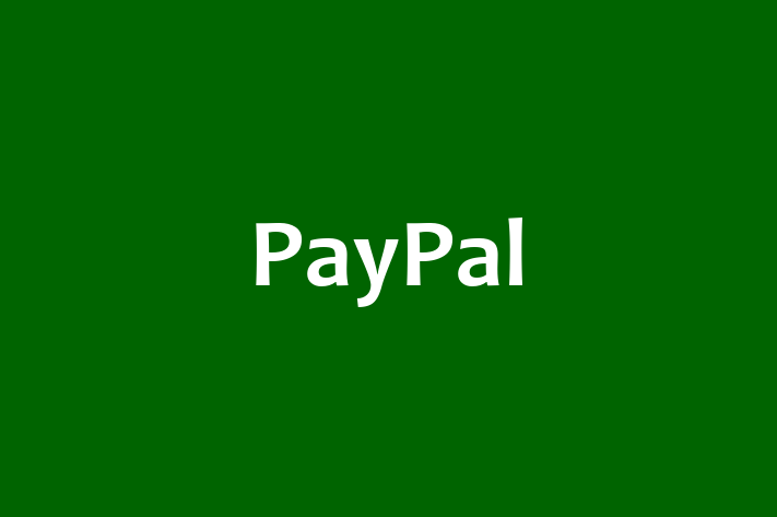 Tech Solutions Company PayPal