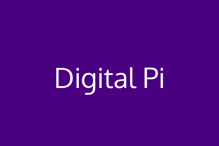 Application Development Company Digital Pi