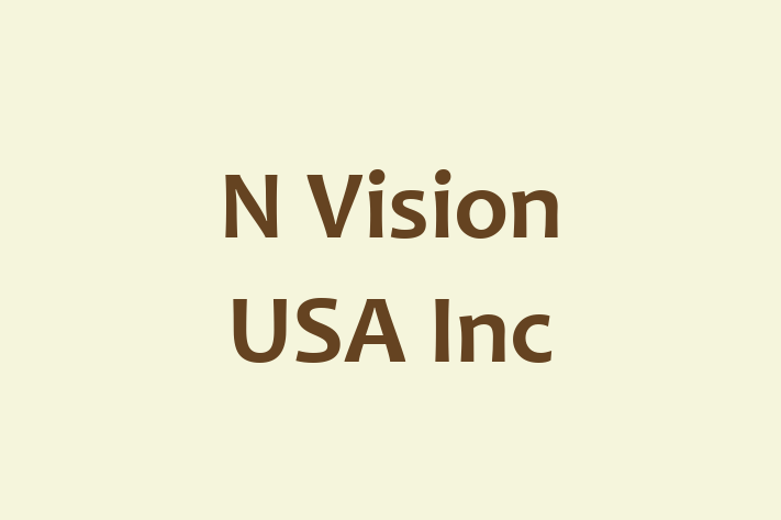 IT Company N Vision USA Inc