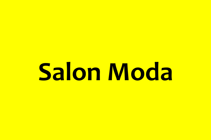 Hair Stylists Salon Moda