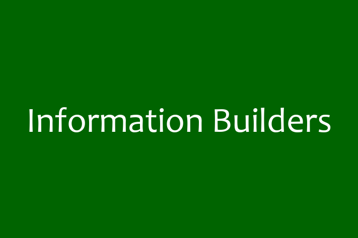 Technology Solutions Firm Information Builders