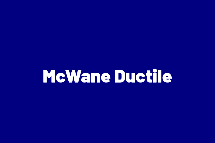 Software Development Firm McWane Ductile