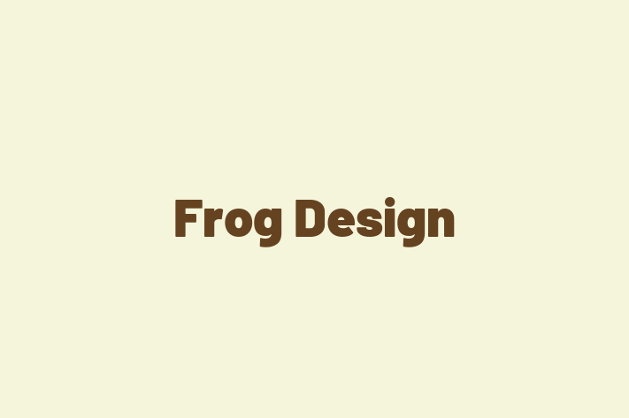 Software Services Company Frog Design