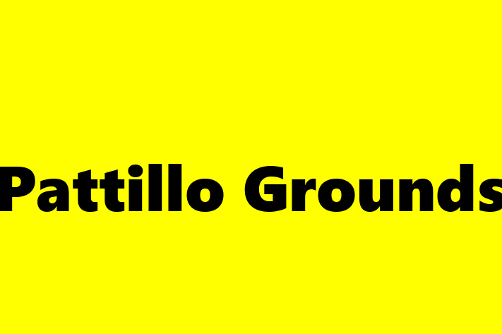 Software Firm Pattillo Grounds