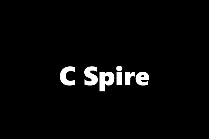 Software Development Company C Spire