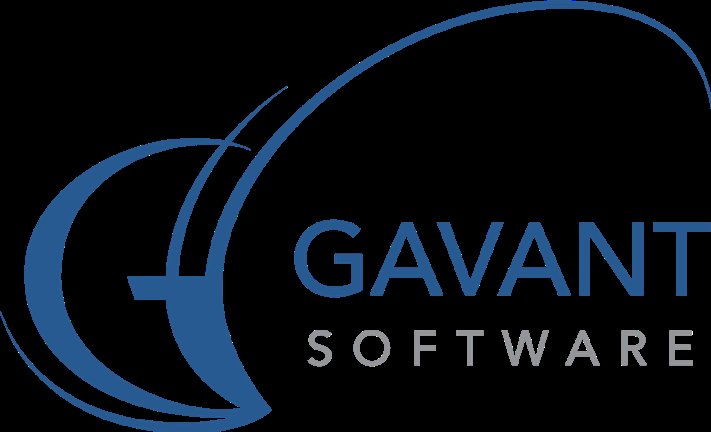 Software Solutions Provider Gavant Software Inc