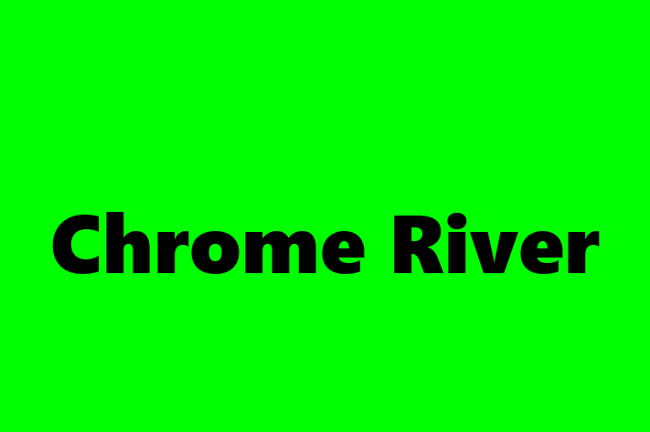 Software House Chrome River