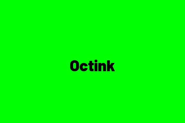 Technology Solutions Firm Octink