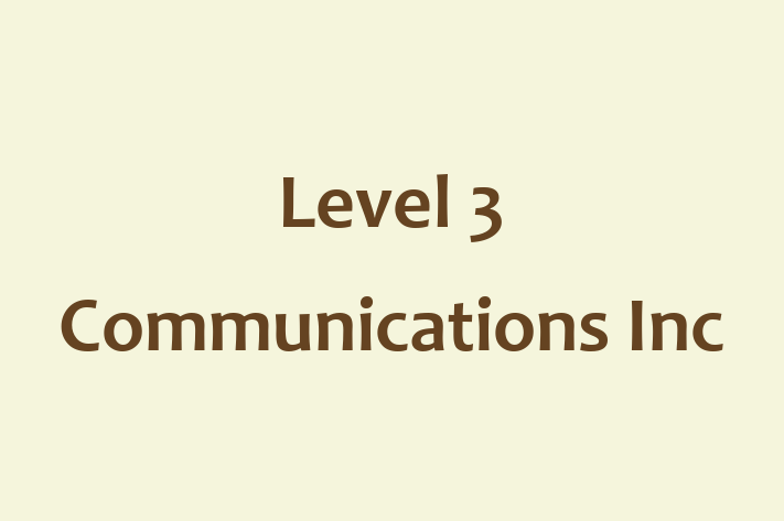 Software Solutions Provider Level 3 Communications Inc