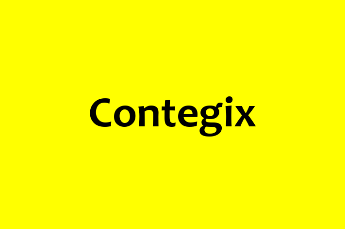 Technology Solutions Firm Contegix