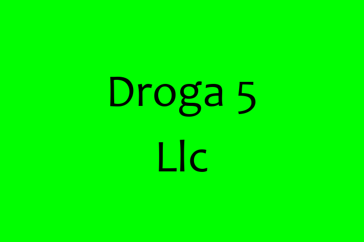 Technology Company Droga 5 Llc