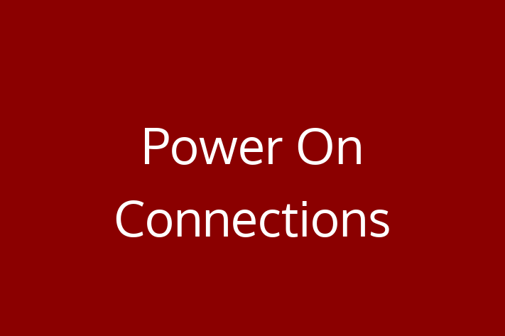 Software Services Company Power On Connections