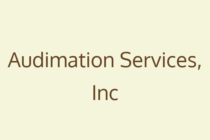 Application Development Company Audimation Services Inc