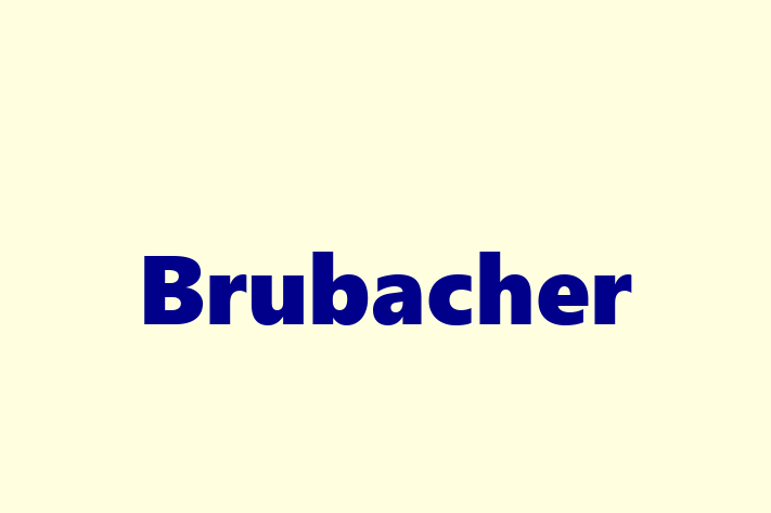 Labor Relations Brubacher