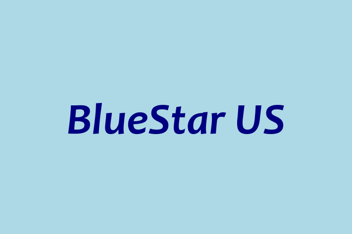 Technology Solutions Firm BlueStar US