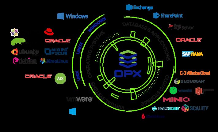 Software Engineering Company Catalogic Software Inc.