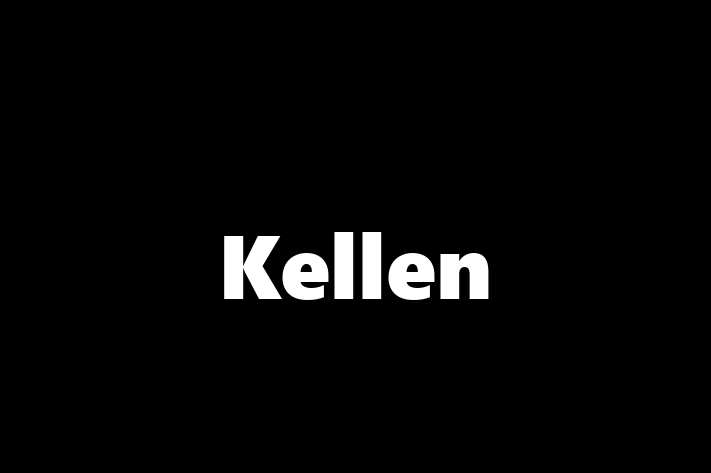 Technology Company Kellen