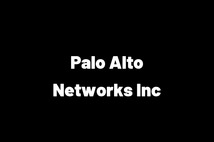 Application Development Company Palo Alto Networks Inc