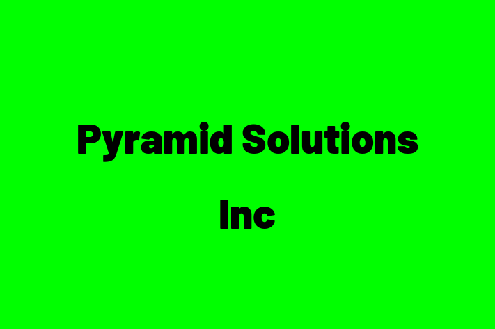 Software Services Company Pyramid Solutions Inc