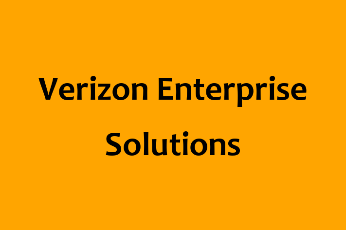 Technology Company Verizon Enterprise Solutions