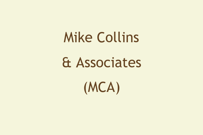 Software Firm Mike Collins Associates MCA