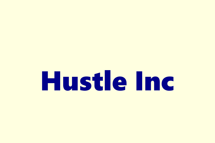 Tech Solutions Company Hustle Inc