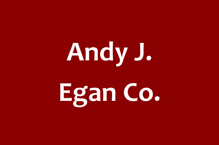 Human Capital Management Andy J. Egan Co.