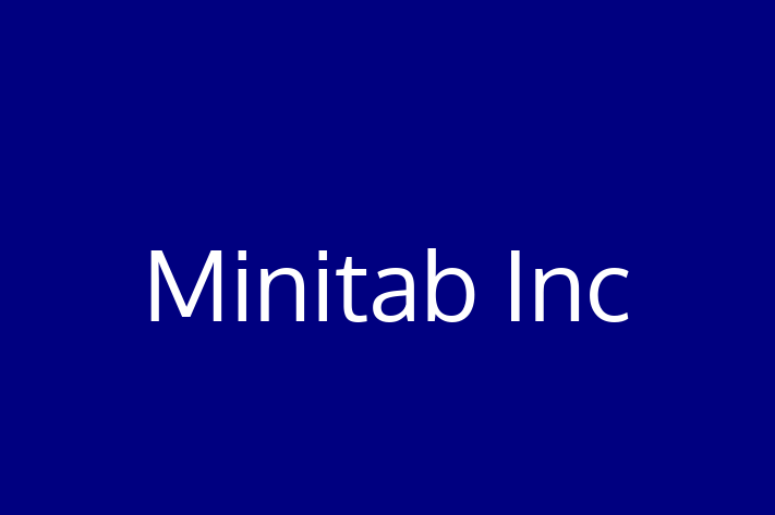 Software Services Company Minitab Inc