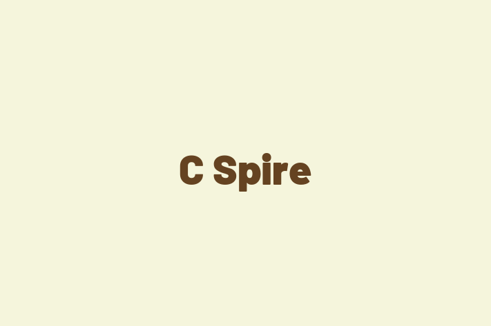 Software Services Company C Spire