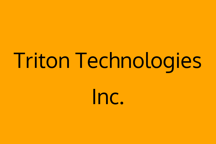 IT Company Triton Technologies Inc.