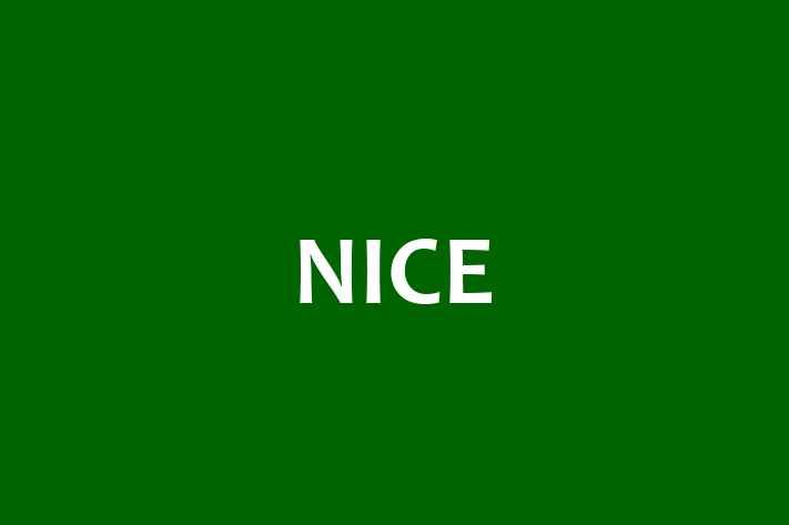 Software Development Company NICE