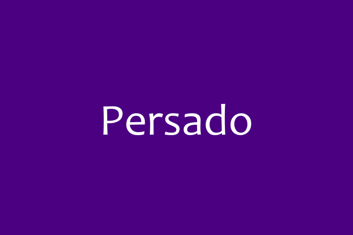 Digital Solutions Provider Persado