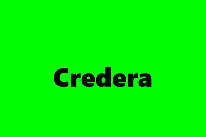 Workforce Management Credera