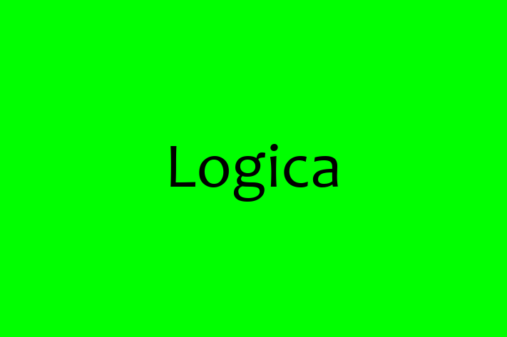 Tech Solutions Company Logica