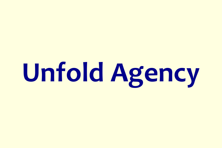 IT Company Unfold Agency